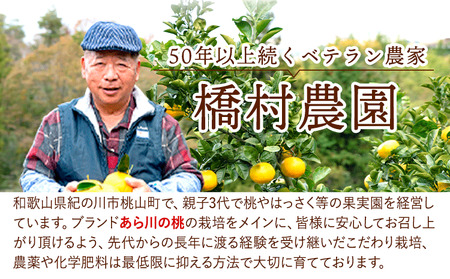 ブランド桃 あら川の桃 大玉3個入り