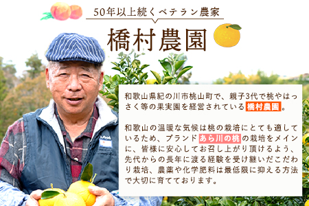【先行予約】桃 もも あら川の桃　特大玉 約3.5-4kg(11ｰ13個) 橋村農園《2026年7月上旬-8月上旬頃出荷》和歌山県 紀の川市