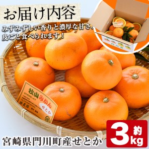 宮崎県門川町産せとか(約3kg) 柑橘 果物 数量限定 期間限定 国産 フルーツ 常温保存 遠見半島 宮崎県 門川町 【AE-18】【勝農園】
