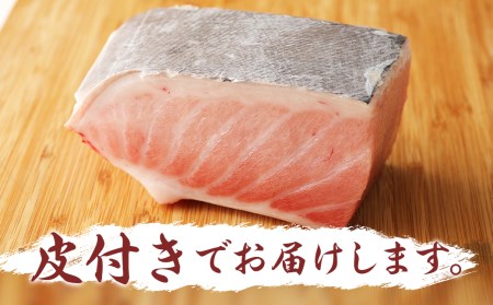 長崎県産 本マグロ 「大トロ」 約600g