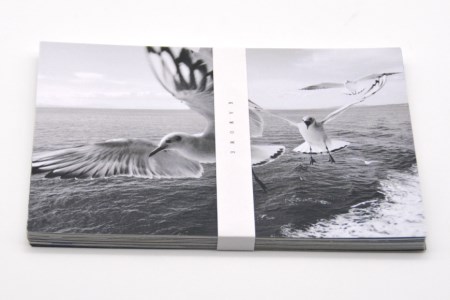 BF218 絵葉書セット「KAMOME」