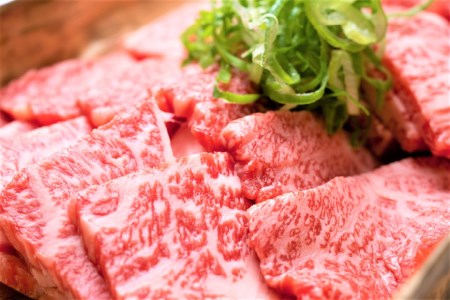 博多和牛 A4以上 焼肉セット 500g [MEAT PLUS 福岡県 筑紫野市 21760740]