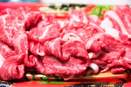 博多和牛 A4以上 切り落とし 500g×2P [MEAT PLUS 福岡県 筑紫野市 21761004]