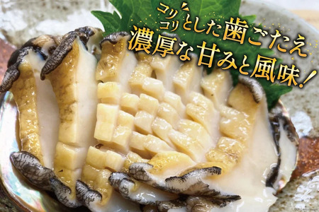 【期間限定発送】 海鮮 魚介 三陸 天然 活 アワビ Lサイズ 900g(5～6個入) [マルヤ五洋水産 宮城県 南三陸町 30al0009]