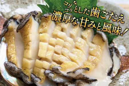 【期間限定発送】 海鮮 魚介 三陸 天然 活 アワビ Mサイズ 800g(6～7個入) [マルヤ五洋水産 宮城県 南三陸町 30al0010]