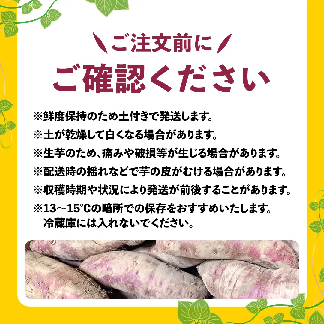 さつまいも 紅はるか サツマイモ 約10kg 訳あり