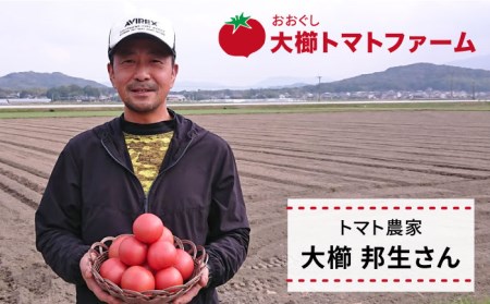 【甘くて濃厚】大玉 トマト 2kg 糸島産 《糸島》 【大櫛トマトファーム】 [AQH001]