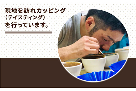 中深煎り コーヒー 豆 タナカフェブレンド 250g × 2袋（ 豆 ・ 粉 選べます ） 《糸島》 【COFFEE UNIDOS】 [AQF011]