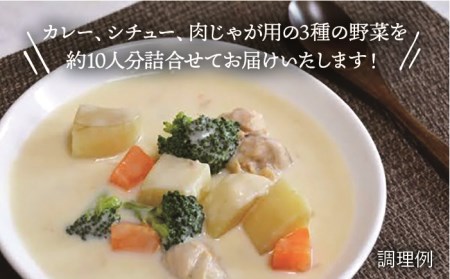 【 福岡県 糸島産 】 野菜 3種 詰め合わせ （ 人参 / 玉ねぎ / ジャガイモ 各1kg ）《糸島》【オーガニックナガミツファーム】 	[AGE027]