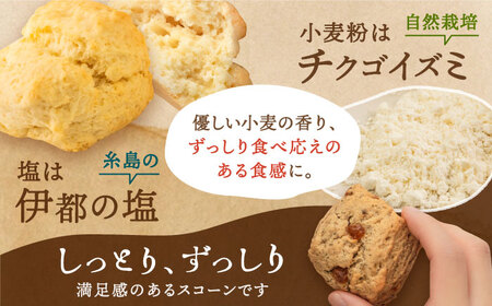 【お中元対象】【 贈答用 】 定番 スコーン + 季節 の 味 12個 セット 《糸島》【キナフク】焼き菓子 焼菓子 洋菓子 スイーツ パン [AFA007]