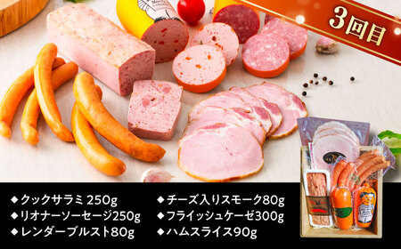 【全3回定期便】本場ドイツで連続金賞受賞！本格 ウインナーの バラエティ 定期便 ( ウインナー / ハム / 生ウインナー / 生ハム ) 糸島 / 糸島手造りハム バラエティーセット [AAC009] ランキング 上位 人気 おすすめ