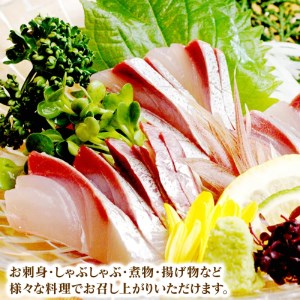 【大和ブリ】半身(ﾌｨﾚ)約1kg×2枚かぶと付き N072-YD0190