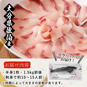 養殖 ブリフィーレ (1.5kg前後・半身1枚) 大分県産 国産 ブリ ぶりフィーレ 鰤フィレ 養殖ブリ 新鮮 刺身 しゃぶしゃぶ 照り焼き 鰤かま 冷蔵 大分県 佐伯市 【AL94】【さいきりーふ】