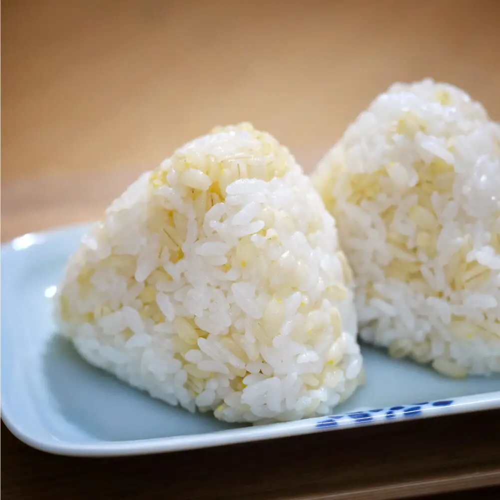 知床もち麦(500g×4袋)2Kg_  穀物加工品 