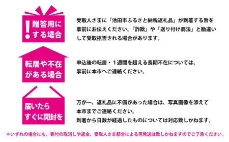 【05-05-B】「インスタントラーメン発祥の地・大阪池田」わくわくおたのしみセット