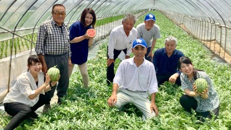 こだまスイカ ピノ・ガール（１玉） 【2026年5月中旬より発送開始】  [BC029sa]