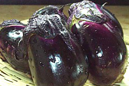 先行予約 十全茄子の浅漬け(約300g×3) 令和8年度 新潟県 三条市産 なす [三条果樹専門家集団]