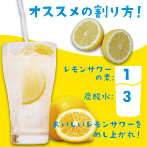 【レモンサワーの素】 1000ml×6本 お酒 東亜酒造 埼玉県 羽生市