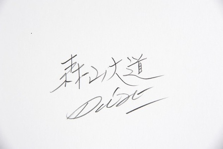 zushi art gallery森山大道写真作品「桜」（写真集『光と影』1982年より）