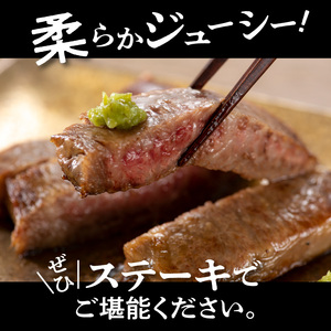 博多和牛A5サーロインステーキ【厳選部位】500g（250g×2枚）_KMP0203