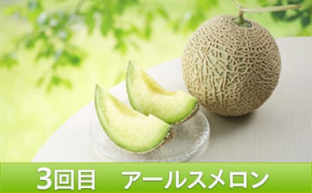 《2026年発送先行予約》やまがたメロン定期便(全3回) FSY-0104