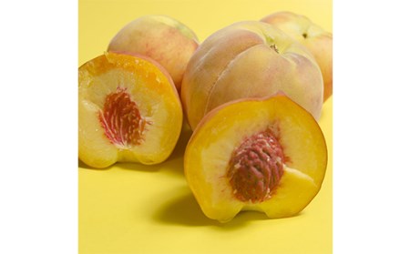 《2026年産先行受付》山形県産 黄桃 3kg ※品種玉数おまかせ もも モモ 桃 デザート フルーツ 果物 くだもの 果実 食品 山形県 FSY-2520