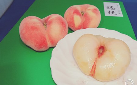 《先行予約》不老不死の山形県産桃♪山形県産桃ばんとう1.5kg もも モモ 桃 デザート フルーツ 果物 くだもの 果実 食品 山形県 FSY-0427