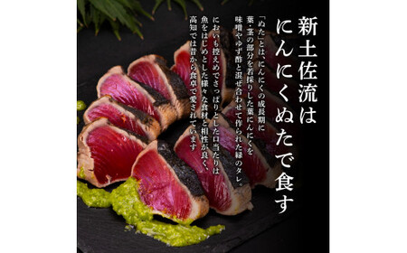 芸西村厳選1本釣り本わら焼き「芸西村本気極カツオのたたき（2～3人前）×6節、銀象ソルト+有機無添加土佐にんにくぬた、タレ付き」 〈高知県共通返礼品〉