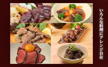 森のジビエ  鹿肉 ブロック おまかせ詰合せ700g以上 A-JJ-A15A