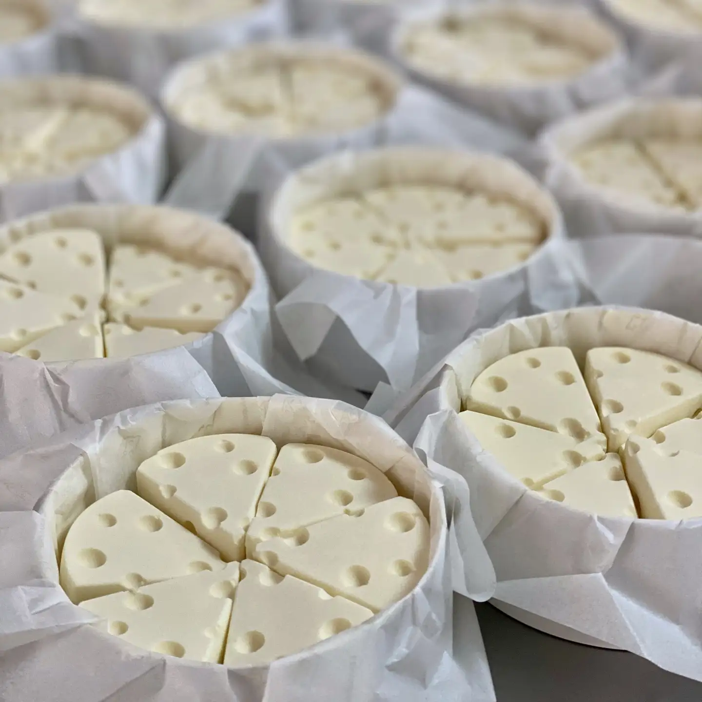 【定期便】ホワイトチョコ レアチーズケーキ 2ホール(直径15cm)×8ヵ月【全8回】ヨーグルト クリームチーズ 北海道 別海町