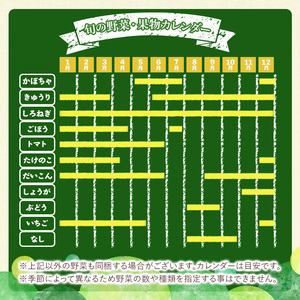 《定期便・全6回》野菜と果物旬の詰め合わせ(12～14品目) 国産 九州産 鹿児島県産 野菜 やさい 果物 くだもの フルーツ デザート 詰め合わせ お楽しみ セット 旬【鹿児島県経済農業協同組合連合会】_y359