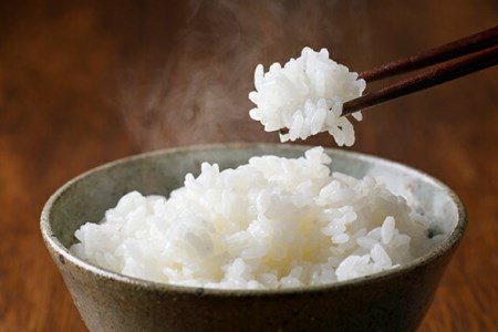 【期間限定発送】 米 定期便 コシヒカリ 白米 10kg 6回 総計 60kg [農家にしの 石川県 宝達志水町 38601174]