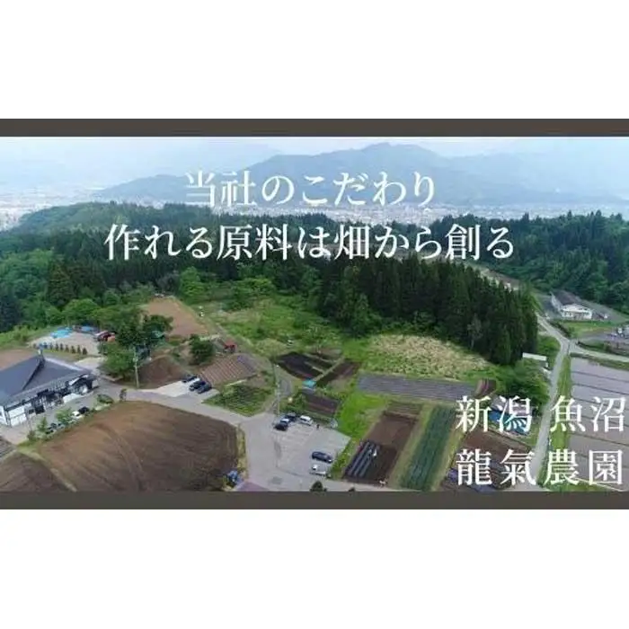 【龍氣農園の大豆使用】SOY菓子「どん豆」 大袋1セット｜新潟県南魚沼市
