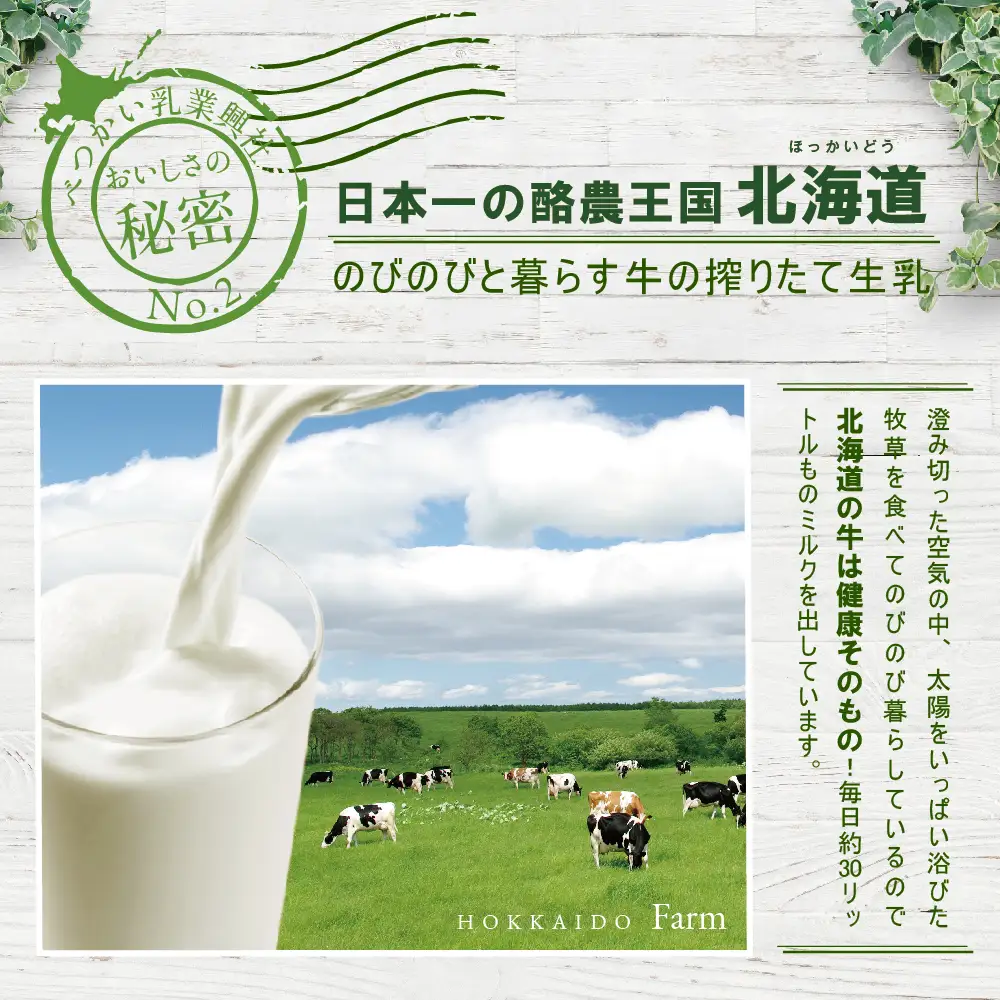 ひと味 違う 別海町 の 牛乳 ♪ たっぷり 6リットル ＜緊急支援品＞北海道産 べつかいの 牛乳屋さん 牛乳 1L × 6本入（M-21） ふるさと納税 緊急支援（ 牛乳 北海道産牛乳 道産牛乳 北海道 別海町 人気 ふるさと納税 ）
