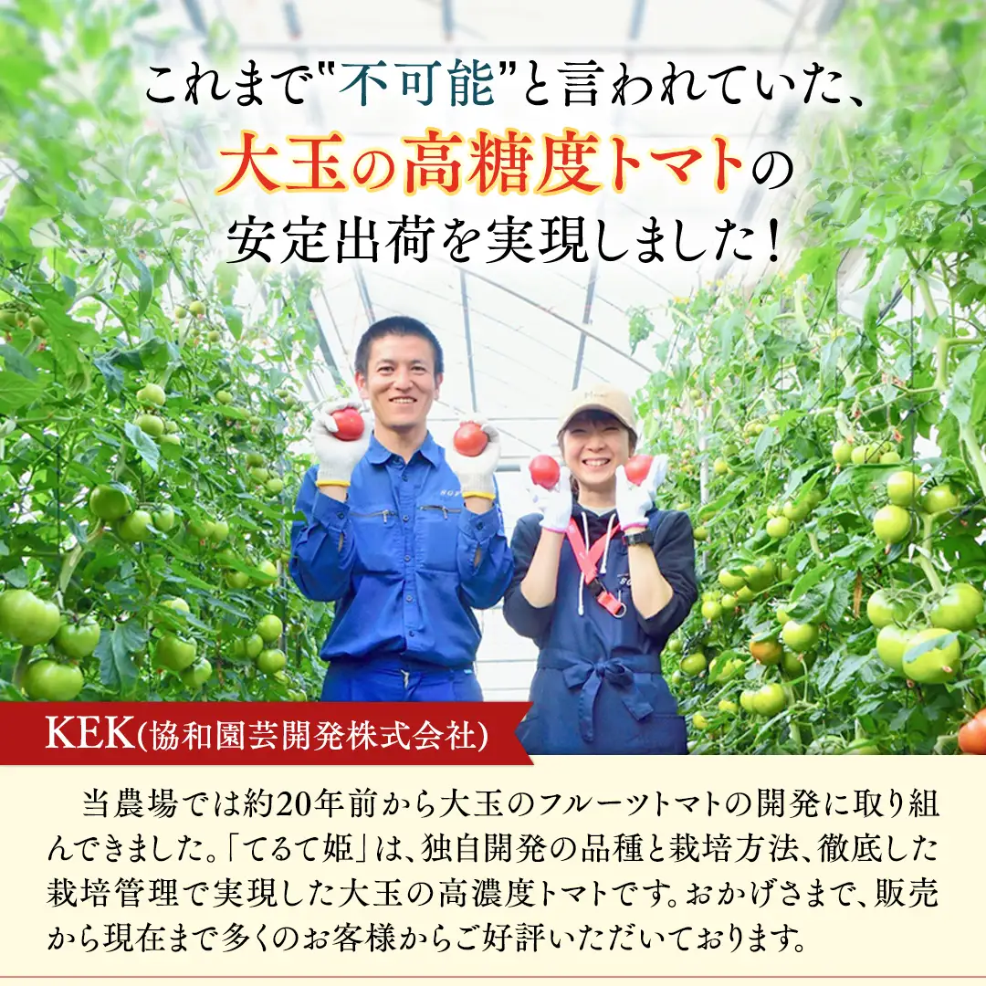 【ふるなびWEEK対象】糖度9度以上 スーパーフルーツトマト てるて姫 中箱 約1.2kg × 1箱 【12～15玉/1箱】  [BC033sa]