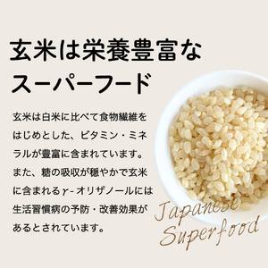 グルテンフリー ブラウンライスパスタ 15袋 200ｇ×15 玄米