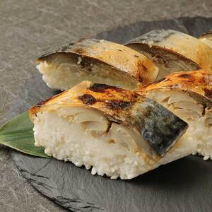 【定期便】土佐の焼きサバ寿司（１本×６回発送）７切れ 総量約250g～300g 【J00008】
