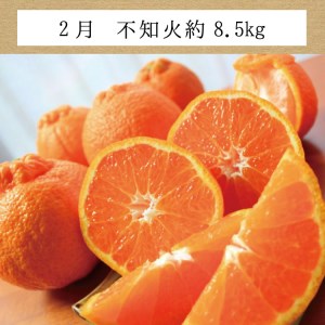 【3か月定期便】たっぷり届く♪訳ありみかんの定期便　温州みかん・不知火・清見オレンジ【tkb113】