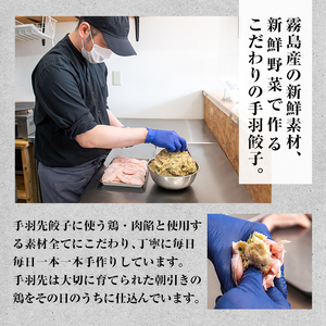 A0-293 手羽先餃子 (10本)【一番鶏】