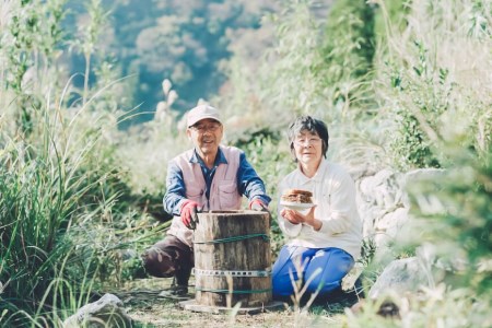 【保存料不使用】 天然！ 千花蜜（はちみつ） 550g×2個 [日添 熊本県 五木村 51120318]