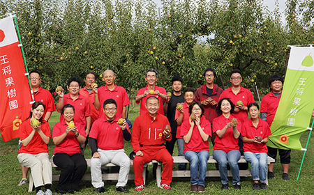 《先行予約 2026年度発送》品種おまかせワケありりんごバラ詰め8kg(実詰め10kg) りんご リンゴ 林檎 デザート フルーツ 果物 くだもの 果実 食品 山形県 FSY-1858