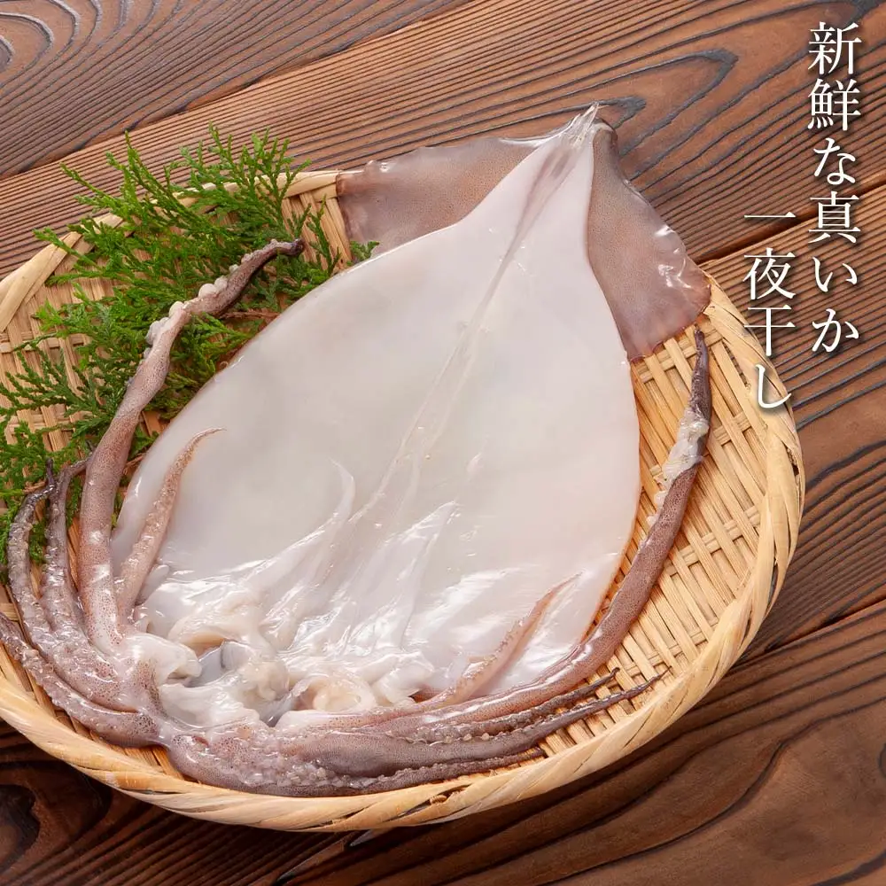 イカ 一夜干し 定期便 ☆毎月届く☆真いかの一夜干し定期便 全３回＜秋元水産＞