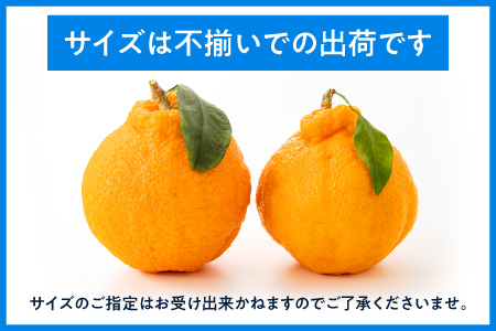 AA132.農家直送の不知火／約3kg（2027年2月発送予定)