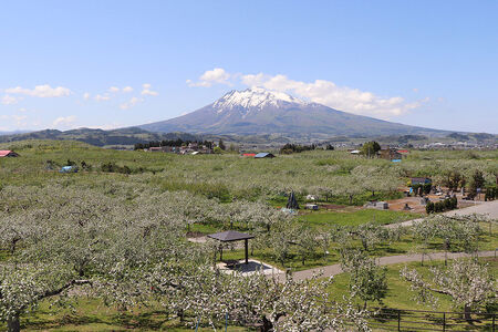 【タクシーでらくらく移動】着地型弘前ねぷたまつり見学ツアー 4名様ご招待＜簡易書留＞