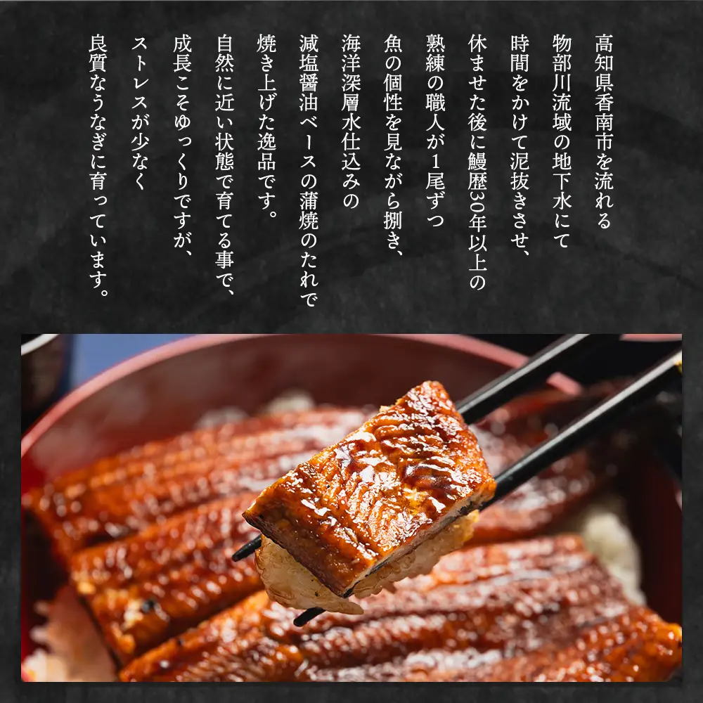 うなぎ 国産 蒲焼き 2尾 うなぎ fb-0139