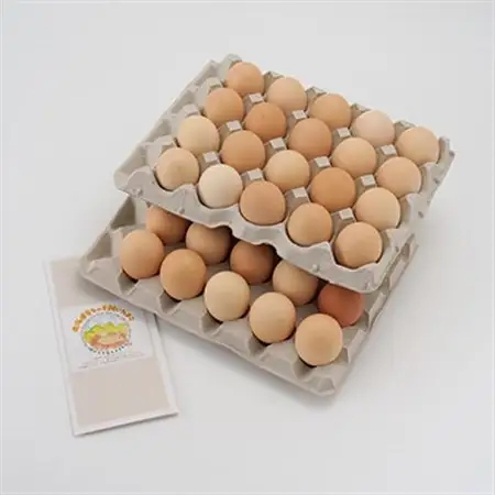 【北海道産】毎日食べたくなる平飼いたまご40個_卵・乳製品 卵  たまご タマゴ 玉子_【配送不可地域：離島】【1215857】