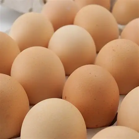 【北海道産】毎日食べたくなる平飼いたまご120個_卵・乳製品 卵  たまご タマゴ 玉子_【配送不可地域：離島】【1215862】