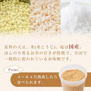 お家で簡単！手作りみそキット（出来上がり米みそ約2kg）【味噌 みそ 手作り味噌 キット 調味料 麹 こうじ 大豆 国産 愛知県 豊田市 CH001】