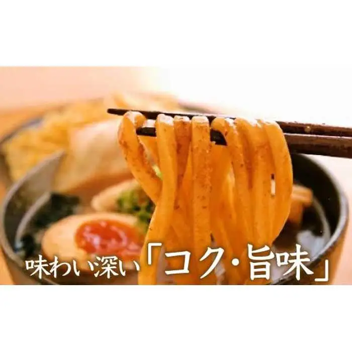 濃厚魚介豚骨つけ麺６食セット