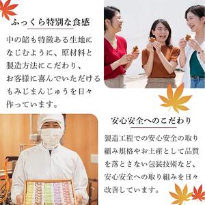 宮島銘菓 紅葉堂のもみじ饅頭（８種１５個入）｜まんじゅう 和菓子 贈答 広島
